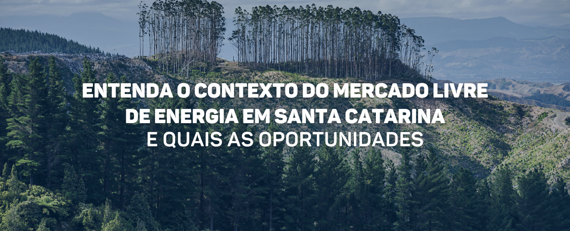 Conheça o contexto do Mercado Livre de Energia em Santa Catarina