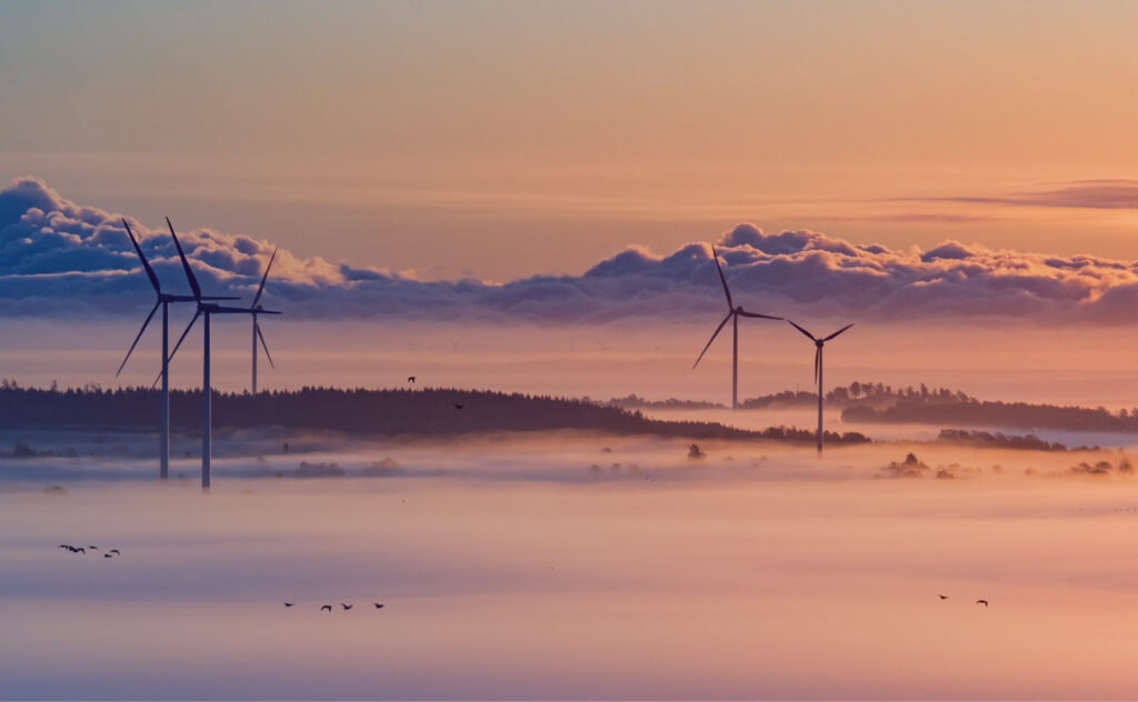 Migração e compra de energia renovável no Mercado Livre